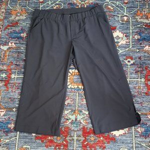 J Jil Fit Cropped Pants 2X